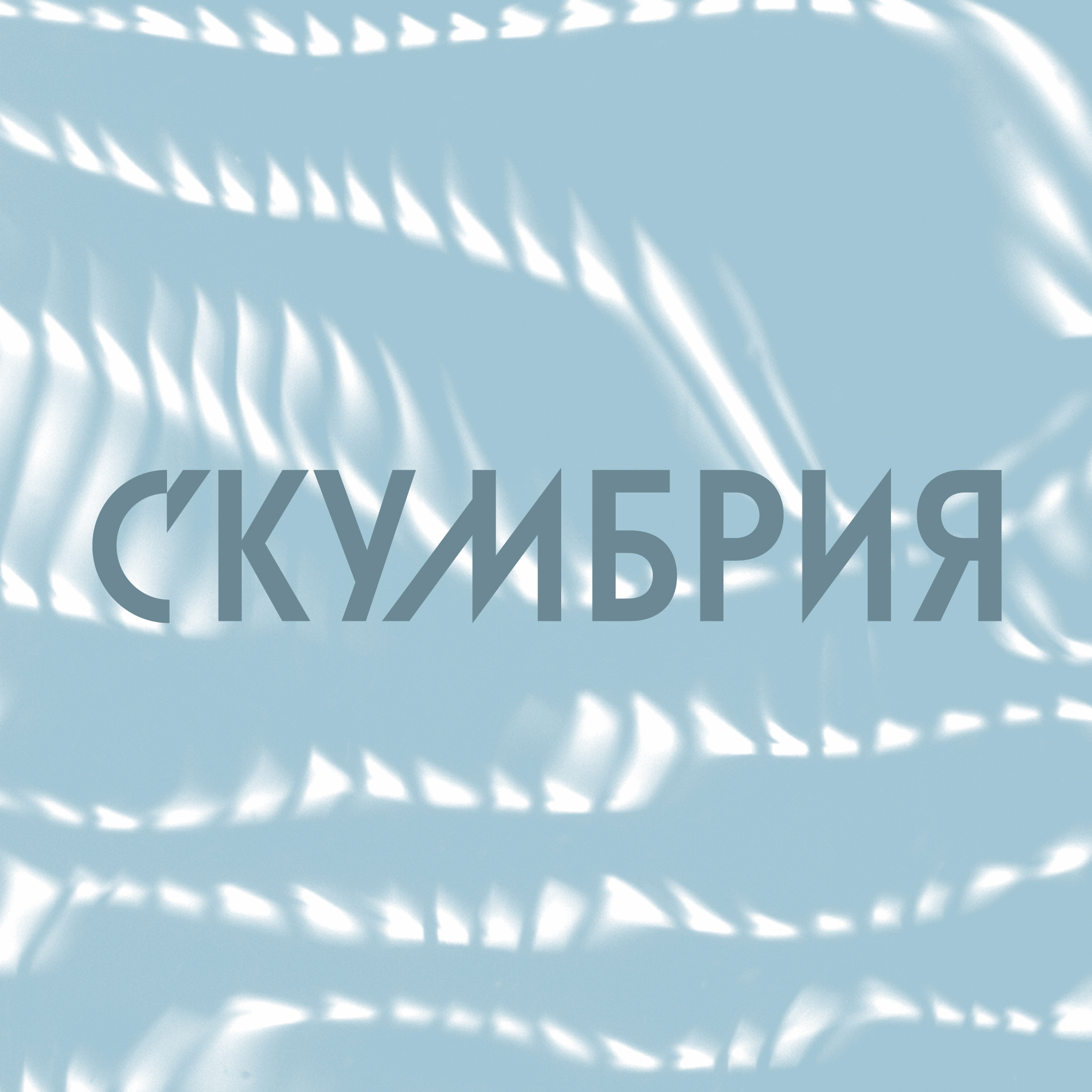 Fish image